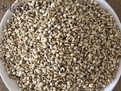薏苡仁 薏仁 薏米仁 小薏米 95米新货产地 贵州省图4