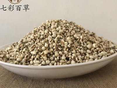 薏苡仁 薏仁 薏米仁 小薏米 95米新货产地 贵州省图2