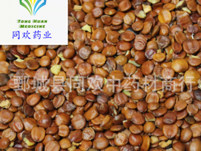 【进口生酸枣仁】@【同欢药材】中药材批发供应  规格齐全 量大从优  产地 海外图1