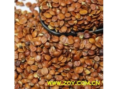 【进口生酸枣仁】@【同欢药材】中药材批发供应  规格齐全 量大从优  产地 海外图3