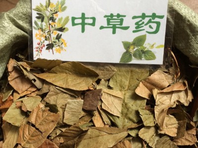 广西壮乡中草药 野生 葫芦茶 剃刀柄 金剑草 咸鱼草 产地 广西柳州
