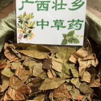 广西壮乡中草药 野生 葫芦茶 剃刀柄 金剑草 咸鱼草 产地 广西柳州