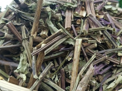 猫须草 猫须草统货 产地 贵州省 凯捷中药图2