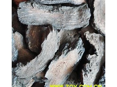 肉苁蓉 管花苁蓉 选  【关书药业】新货 产地 新疆维吾尔自治区乌鲁木齐市图2