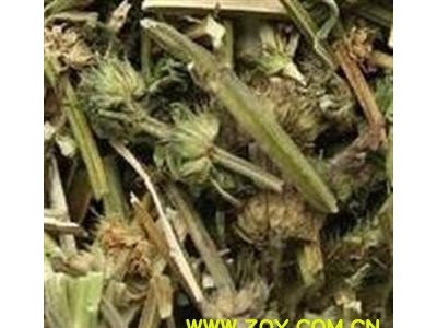 精品益母草 坤草 产新了！！益母草绿色选段 刚刚产新的货 自产自销 低价销售 产地 山东省菏泽市图2