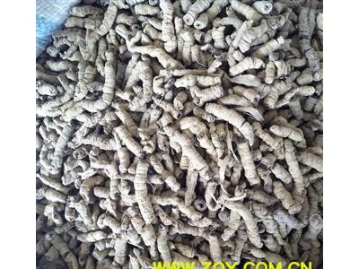 巴戟 小巴戟肉三级个抽芯95% 好统货 市场主流 纯干货 天气渐暖不会发霉 产地 广东省图2