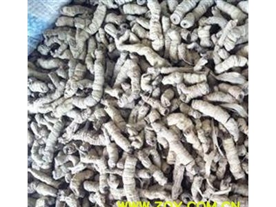 巴戟 小巴戟肉三级个抽芯95% 好统货 市场主流 纯干货 天气渐暖不会发霉 产地 广东省图1