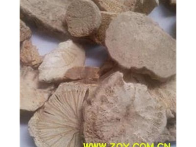 防己 防己统片 产地 广西壮族自治区图2