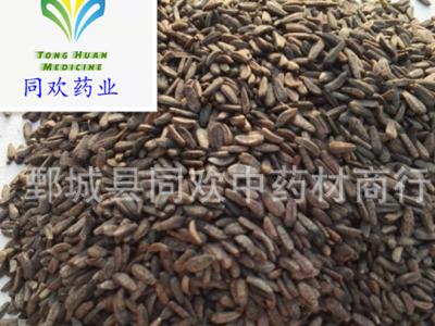 【牛子 水洗牛蒡子净货】@【同欢药材】中药材批发供应  规格齐全 量大从优  产地 甘肃省图1