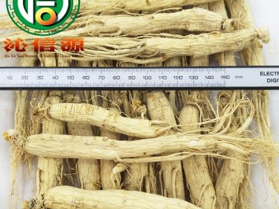【满包邮】人参40支散装吉林原皮参产地直供生晒参沁信源中药批发图2