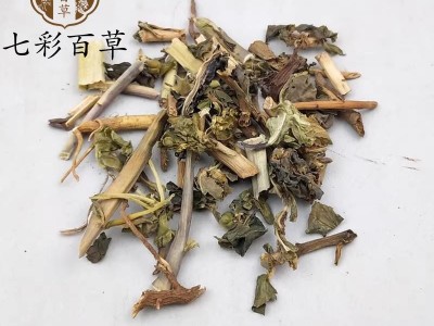 泽漆 猫眼草 新货纯青 产地 四川省图4