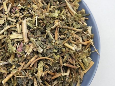 泽漆 猫眼草 新货纯青 产地 四川省图3