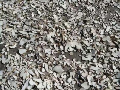 山药  淮山药切片 过0.8筛 无碎颗粒 精品好药尽在七彩百草图1