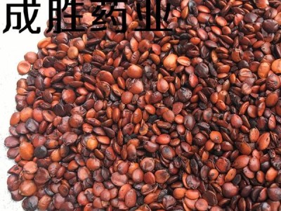 炒枣仁 酸枣仁 酸枣仁 无壳子 产地 云南省图2