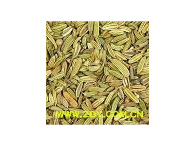 小茴香 小茴香净货 今年新货 纯净颜色好 比较干 味道浓厚地道 产地 广西壮族自治区图2