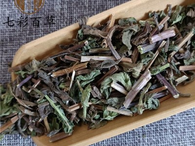 薄荷 青绿色当年新货薄荷 产地 山东省 精品好药尽在山东七彩百草图2