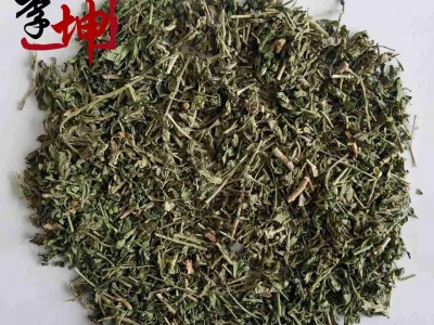 【99包邮】透骨草 统货（1kg）产地浙江 珍珠透骨草图2