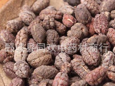 【进口颜色好砂仁米】@【同欢药材】中药材批发供应  规格齐全 量大从优 产地 海外图2