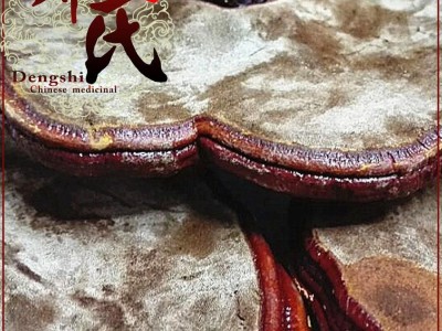 【满包邮】小个红灵芝1公斤起批散装批发 精选 产地 吉林省白山市抚松县 邓氏中药行图4