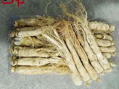 【包邮】人参40支 未熏7 吉林长白山产40~50支/盒  品质好 参味浓图4
