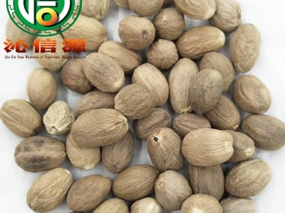 【满包邮】肉豆蔻个子统货散装广西产地直供肉豆叩沁信源中药批发图4