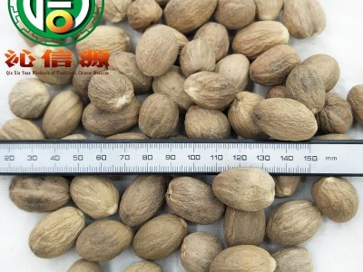 【满包邮】肉豆蔻个子统货散装广西产地直供肉豆叩沁信源中药批发图2