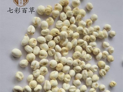 伊贝母 平贝母0.7贝母 小贝母 产地 吉林省图4