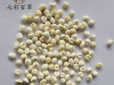 伊贝母 平贝母0.7贝母 小贝母 产地 吉林省图2
