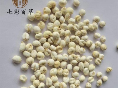 伊贝母 平贝母0.7贝母 小贝母 产地 吉林省图3