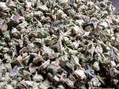 刺蒺藜 白蒺藜 新货色青选货 产地 内蒙古自治区图2