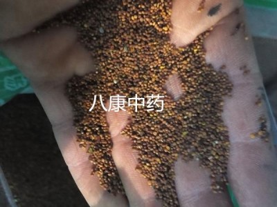 菟丝子 宁夏 01统货 带少量杂志图2