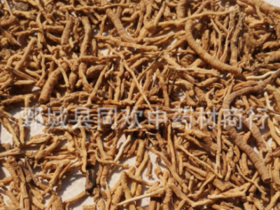 【好统货远志】@【同欢药材】中药材批发供应 规格齐全 量大从优 产地 山西省图2