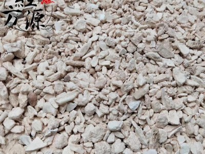 【满99包邮】龙骨 龙骨颗粒 龙骨小块图2