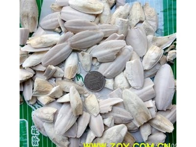 海螵蛸 海螵蛸粉末 纯净无杂质 假一赔十 白色 产地 广西壮族自治区图2
