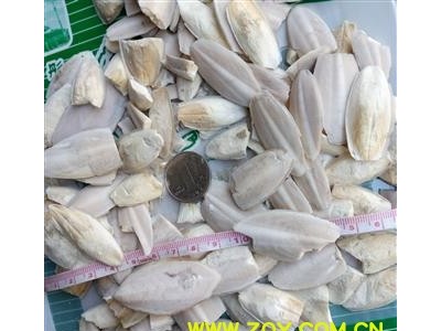 海螵蛸 海螵蛸粉末 纯净无杂质 假一赔十 白色 产地 广西壮族自治区图3