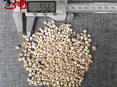 【99包邮】薏苡仁 98米小薏苡仁新货 味道好 【良心经营 品种齐全】图4