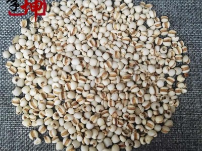 【99包邮】薏苡仁 98米小薏苡仁新货 味道好 【良心经营 品种齐全】图3