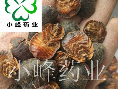 土鳖虫 水洗 土元 好统货 无虫蛀 产地 山东省图2