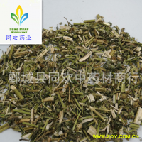 【新货青色益母草】@【同欢药材】中药材批发供应  规格齐全 量大从优  产地 山东省