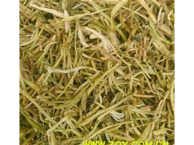 金银花 山银花好货 假一赔十 地道药材 产地 湖南省图2
