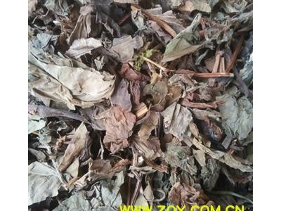 鱼腥草 统 产地 四川 华美药材栈 产地直销 重在品质图3