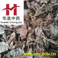 鱼腥草 统 产地 四川 华美药材栈 产地直销 重在品质