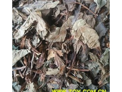 鱼腥草 统 产地 四川 华美药材栈 产地直销 重在品质图2