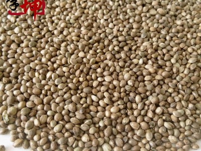 【99包邮】火麻仁 大粒 山西产【良心经营 品种齐全 】图3
