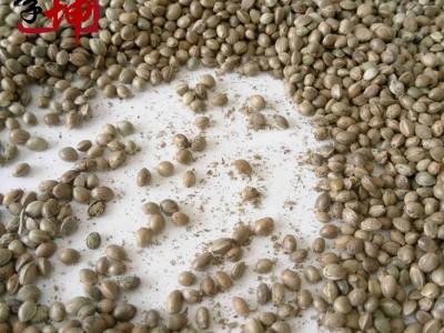 【99包邮】火麻仁 大粒 山西产【良心经营 品种齐全 】图4