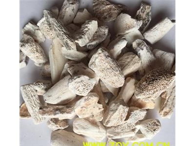 龙骨 大统块 黏舌头 产地 甘肃省图2