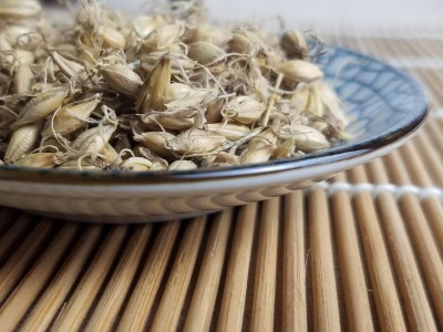 麦芽 精品选装 生麦芽 个个带芽 为冲销量 低价售 精品好药尽在七彩百草图2