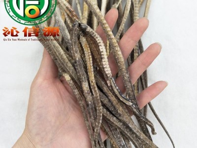 【满包邮】海龙大条统货散装广东产地直供尖海龙 大海龙 沁信源中药批发图3