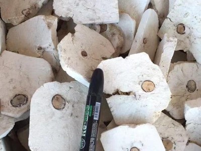 茯神 精选老茯神  生长年份长 含量高 产地 安徽省图3