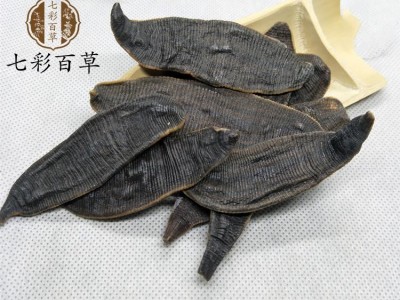 水蛭 大水蛭选货 产地 山东省精品好药尽在山东七彩百草图2